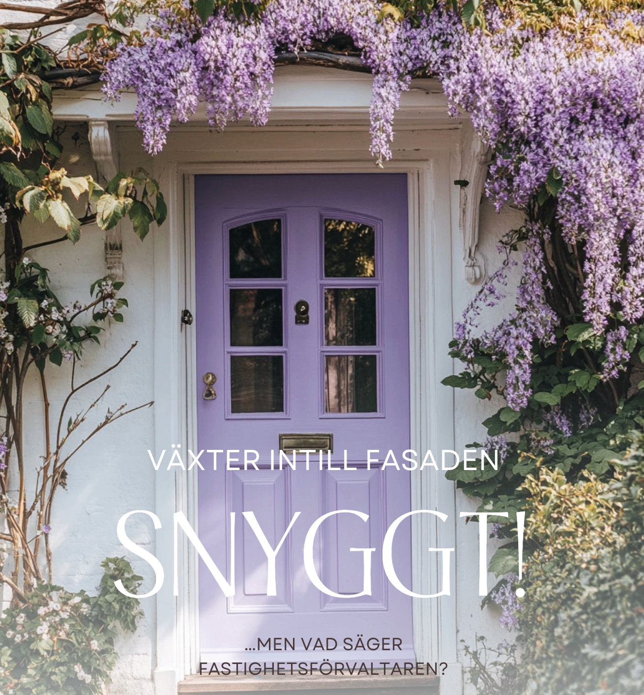 Krukväxter och naturligt ljus i ett hem